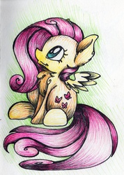 Size: 3065x4312 | Tagged: safe, artist:cutepencilcase, fluttershy, g4, chest fluff, female, sitting, solo, traditional art