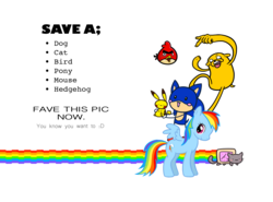 Size: 2232x1652 | Tagged: safe, artist:world-dominashunxd, rainbow dash, bird, cardinal, cat, dog, hedgehog, pegasus, pikachu, pony, g4, adventure time, angry birds, crossover, jake the dog, male, nyan cat, pokémon, red bird, russian blue, simple background, sonic the hedgehog, sonic the hedgehog (series), text, transparent background