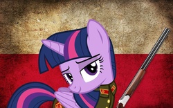 Size: 807x504 | Tagged: safe, artist:evange1, twilight sparkle, alicorn, pony, g4, female, gun, mare, poland, shotgun, twilight sparkle (alicorn), weapon