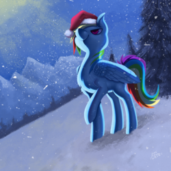 Size: 2000x2000 | Tagged: safe, artist:miss-cats, rainbow dash, g4, chest fluff, female, hat, high res, raised hoof, santa hat, snow, snowfall, solo