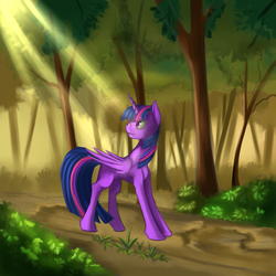 Size: 3000x3000 | Tagged: safe, artist:vell221, twilight sparkle, alicorn, pony, g4, crepuscular rays, female, forest, high res, mare, solo, twilight sparkle (alicorn)