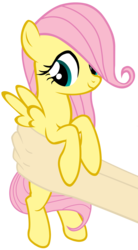 Size: 3667x6625 | Tagged: safe, artist:justisanimation, fluttershy, human, pony, g4, cute, female, filly, filly fluttershy, hand, holding a pony, justis holds a pony, looking away, shyabetes, simple background, smiling, solo, transparent background