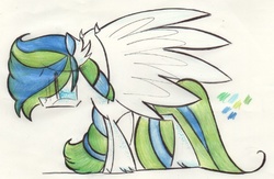 Size: 523x340 | Tagged: safe, artist:fizzbuzz3456, oc, oc only, pegasus, pony, solo