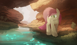 Size: 2700x1573 | Tagged: safe, artist:fuzzyfox11, roseluck, earth pony, pony, g4, canyon, female, mare, solo, water