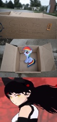 Size: 1316x2796 | Tagged: safe, rainbow dash, pegasus, pony, fanfic:my little dashie, g4, blake belladonna, box, crossover, dashie meme, exploitable meme, good people finding dash meme, meme, rwby, sitting, smiling