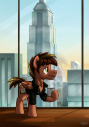 Size: 703x1000 | Tagged: safe, artist:bcpony, oc, oc only, oc:swiftdust, solo