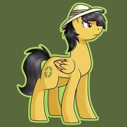 Size: 500x498 | Tagged: safe, artist:rubywave32, daring do, g4, female, missing accessory, solo, wings