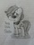 Size: 720x960 | Tagged: safe, artist:thefanficfanpony, cloudy quartz, earth pony, pony, g4, bracelet, female, mare, sketch, solo, traditional art, younger