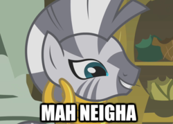 Size: 1005x720 | Tagged: safe, artist:gordontheonefreemane, screencap, zecora, zebra, g4, accent, female, grin, image macro, mare, meme, neigh, pun, reaction image, smiling, wat