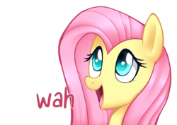 Size: 2500x1767 | Tagged: safe, artist:higglytownhero, edit, fluttershy, g4, bust, colored pupils, cute, dialogue, female, open mouth, portrait, shyabetes, simple background, solo, speech, wah, white background