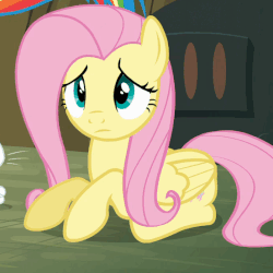 Size: 552x552 | Tagged: safe, screencap, angel bunny, fluttershy, rainbow dash, pony, g4, too many pinkie pies, animated, blinking, cute, folded wings, looking at you, lying down, shyabetes