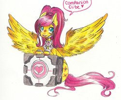 Size: 1280x1056 | Tagged: safe, artist:techtechno, fluttershy, pony, g4, alternate hairstyle, clothes, companion cube, cosplay, costume, dialogue, female, looking at you, otakufluttershy, portal, portal (valve), sitting, solo, speech bubble, spread wings, traditional art