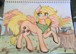 Size: 2854x2039 | Tagged: safe, artist:thegreycheetah11, applejack, g4, high res, irl, photo, solo, traditional art