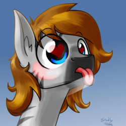 Size: 1000x1000 | Tagged: safe, artist:studlyhorn, oc, oc only, oc:kouprisa, earth pony, pony, zebra, :p, against glass, blushing, cute, drool, fourth wall, glass, heart eyes, licking, male, portrait, solo, tongue out, wingding eyes
