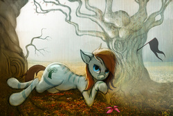 Size: 4500x3000 | Tagged: safe, artist:vitaj, oc, oc only, oc:kouprisa, earth pony, pony, zebra, baobab, black flag, earth, field, flag, flower, light, looking at you, lying, lying down, male, prone, rain, solo, tree