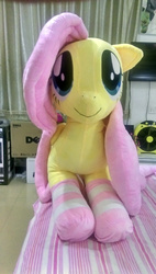 Size: 1472x2592 | Tagged: artist needed, safe, fluttershy, g4, clothes, irl, lying, lying down, photo, plushie, socks, solo, striped socks