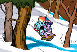 Size: 1400x955 | Tagged: safe, artist:the_gneech, rainbow dash, twilight sparkle, g4, calvin and hobbes, female, sledding, snow