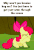 Size: 450x665 | Tagged: safe, edit, edited screencap, screencap, apple bloom, g4, the cutie pox, animated, brony, bronybait, caption, cropped, female, gif with captions, hug request, solo