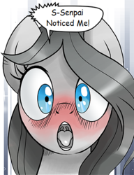 Size: 327x426 | Tagged: safe, artist:pencils, edit, cloudy quartz, earth pony, pony, g4, blushing, bust, female, meme, senpai, senpai noticed me, solo