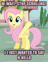 Size: 552x718 | Tagged: safe, edit, edited screencap, screencap, fluttershy, pegasus, pony, g4, adventure in the comments, bronybait, caption, cute, faic, female, funny, hellos in the comments, image macro, looking at you, mare, meme, open mouth, pink text, shyabetes, smiling, solo, stuttering, tree, underhoof, waving