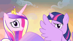 Size: 585x330 | Tagged: safe, screencap, princess cadance, twilight sparkle, alicorn, pony, g4, three's a crowd, animated, duo, duo female, female, flapping, flying, looking back, mare, sisters-in-law, sweat, twilight sparkle (alicorn)