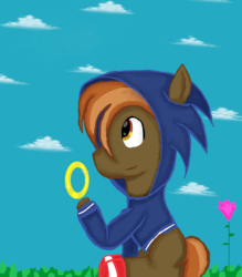 Size: 3500x4000 | Tagged: safe, artist:silversthreads, artist:silverthread, button mash, g4, clothes, commission, crossover, high res, hoodie, male, onesie, solo, sonic the hedgehog, sonic the hedgehog (series), that pony sure does love computer games