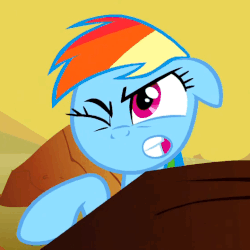 Size: 529x529 | Tagged: safe, screencap, rainbow dash, pegasus, pony, g4, over a barrel, season 1, animated, circling stars, eye twitch, female, gif, mare, pain, pain star, rainbow dash is best facemaker, solo