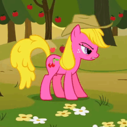 Size: 346x346 | Tagged: safe, screencap, applejack, cherry berry, earth pony, pony, g4, over a barrel, season 1, animated, background pony, cowboy hat, female, hat, mare, solo, stetson, wat