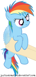 Size: 3472x7403 | Tagged: safe, artist:justisanimation, rainbow dash, human, pegasus, pony, g4, angry, cute, dashabetes, female, filly, filly rainbow dash, flapping, frown, glare, hand, holding a pony, i'm not cute, justis holds a pony, nose wrinkle, offscreen character, scrunchy face, simple background, solo, transparent background, vector