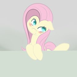 Size: 2000x2000 | Tagged: safe, artist:notten1, fluttershy, g4, blushing, cute, female, head tilt, high res, looking at you, shyabetes, simple background, solo