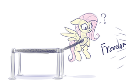 Size: 1280x853 | Tagged: safe, artist:heir-of-rick, part of a set, fluttershy, g4, barrier, female, freetheponk2016, implied pinkie pie, part of a series, solo