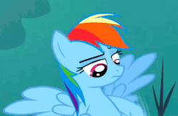 Size: 290x189 | Tagged: safe, edit, screencap, rainbow dash, pegasus, pony, g4, sleepless in ponyville, animated, cropped, female, flying, implied futa, implied futadash, implied masturbation, implying, mare, out of context, perfect loop, solo
