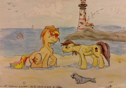 Size: 2433x1705 | Tagged: safe, artist:perle-de-suie, sunset shimmer, oc, dolphin, pony, seal, g4, beach, lighthouse, traditional art, wet