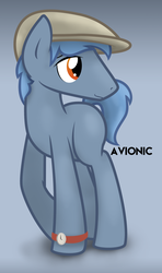 Size: 1621x2744 | Tagged: safe, artist:avionic, oc, oc only, oc:camber avion, blank flank, clothes, hat