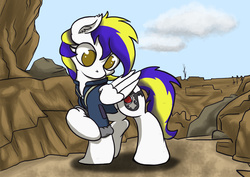 Size: 3507x2480 | Tagged: safe, artist:mistydash, oc, oc only, oc:juby skylines, pegasus, pony, fallout, high res, looking down, wasteland