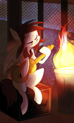 Size: 1024x1707 | Tagged: safe, artist:fa-brony, oc, oc only, oc:candlelight, pegasus, pony, clothes, fire, guitar, night, scarf, solo