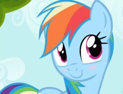 Size: 611x468 | Tagged: safe, screencap, rainbow dash, pegasus, pony, g4, blushing, c:, cute, dashabetes, female, mare, smiling, solo