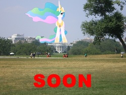 Size: 500x375 | Tagged: safe, princess celestia, pony, g4, giantess, giantlestia, image macro, irl, macro, meme, photo, ponies in real life, pony on earth, solo focus, soon, text, vector