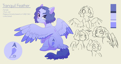 Size: 2574x1373 | Tagged: safe, artist:kianamai, oc, oc only, oc:tranquil feather, pegasus, pony, expressions, looking at you, ponysona, reference sheet