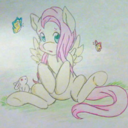 Size: 700x700 | Tagged: safe, artist:creamyfoxhole, fluttershy, butterfly, rabbit, g4, color correction, cropped, female, looking at you, needs more jpeg, open mouth, sitting, solo, spread wings, traditional art