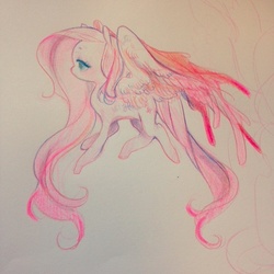 Size: 640x640 | Tagged: safe, artist:costly, fluttershy, pegasus, pony, g4, female, solo, traditional art