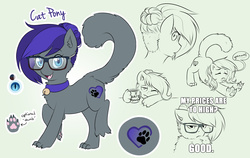 Size: 6333x4000 | Tagged: safe, artist:askbubblelee, oc, oc only, oc:cat pony, cat pony, original species, bell, bell collar, collar, cute, digital art, glasses, hair bun, ponysona, reference sheet, solo