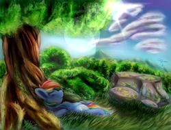 Size: 2100x1600 | Tagged: safe, artist:ferasor, rainbow dash, g4, cloud, cottagecore, crepuscular rays, cute, eyes closed, female, fluffy, forest, lens flare, nature, on back, outdoors, relaxing, rock, scenery, smiling, solo, sun, tree