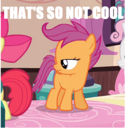 Size: 334x336 | Tagged: safe, edit, edited screencap, screencap, scootaloo, pony, g4, one bad apple, bed, caption, disgusted, female, filly, image macro, meme, text, unamused