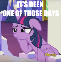 Size: 720x736 | Tagged: safe, twilight sparkle, alicorn, pony, g4, my little pony: friendship is magic, what about discord?, discovery family logo, female, frown, image macro, mare, meme, tired, twilight sparkle (alicorn), unamused