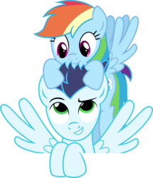 Size: 1855x2158 | Tagged: dead source, safe, artist:shabrina025, rainbow dash, soarin', pegasus, pony, g4, duo, female, male, mare, ship:soarindash, shipping, simple background, stallion, straight, transparent background, vector