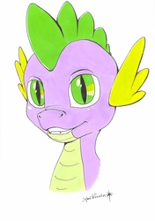 Size: 1646x2337 | Tagged: safe, artist:bertthefrenchunicorn, spike, g4, grin, male, portrait, simple background, solo