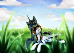 Size: 1600x1143 | Tagged: safe, artist:sunny way, oc, oc only, oc:steven saidon, oc:sunny way, pegasus, pony, unicorn, rcf community, cloud, duo, female, field, grass, male, prone, straight, sunlight