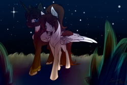 Size: 1280x853 | Tagged: safe, artist:sunny way, oc, oc only, oc:alex, oc:sunny way, alicorn, pony, rcf community, aleway, alicorn oc, female, male, night, sky, stars, straight, unshorn fetlocks, walking