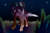 Size: 1280x853 | Tagged: safe, artist:sunny way, oc, oc only, oc:alex, oc:sunny way, alicorn, pony, rcf community, aleway, alicorn oc, female, male, night, sky, stars, straight, unshorn fetlocks, walking